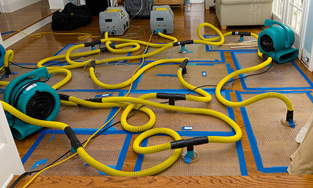 Professional Basement Flood Cleanup technician working in Glen Carbon, IL